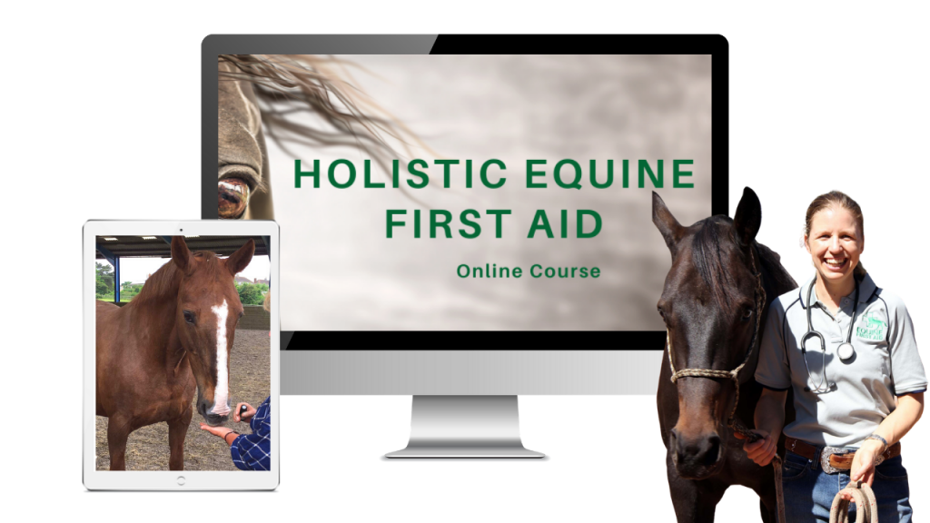 Holistic EFA Course Waitlist Equine First Aid Holistic EFA Course Waitlist Equine First Aid